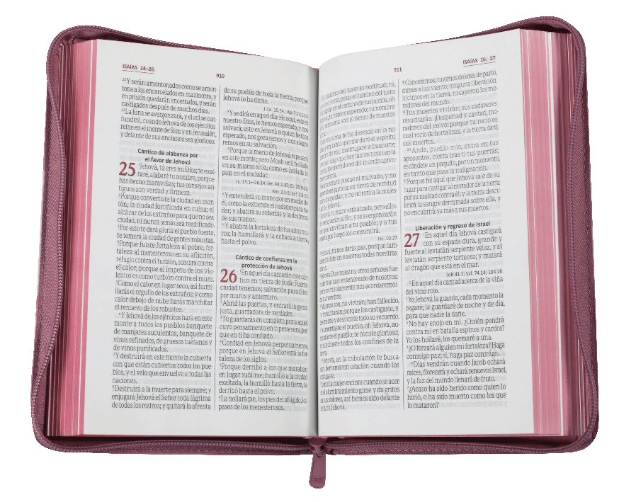 Biblia RVR 1960 Letra Grande 12 pts piel rosa con flores cierre - Imagen 5