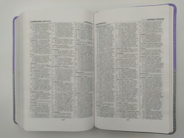 Biblia Thompson Personal Lila Gris RVR1960 8