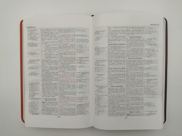Biblia Thompson Personal Marrón Terracota RVR1960 7