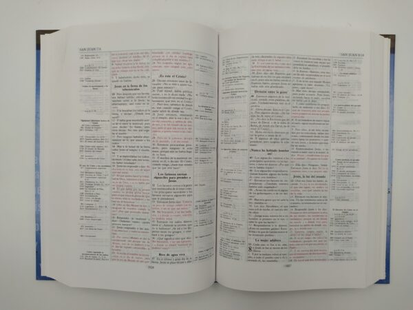 Biblia de Referencia Thompson RVR60 tamaño personal 4
