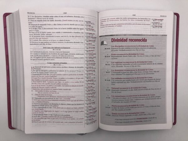 Biblia de estudio Thompson - Mujer RVR1960 5