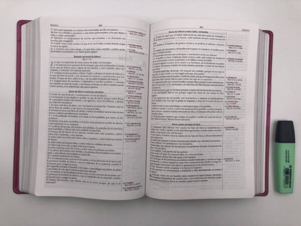 Biblia de estudio Thompson - Mujer RVR1960 9