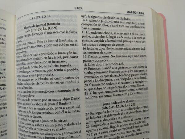 Biblia De Estudio Herencia Reformada Rosada RVR 1960 5