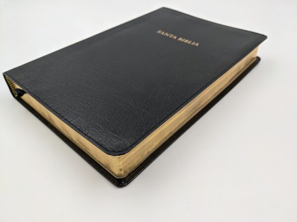 Biblia de Estudio Scofield Tamaño Personal [Biblia] Reina Valera 1960