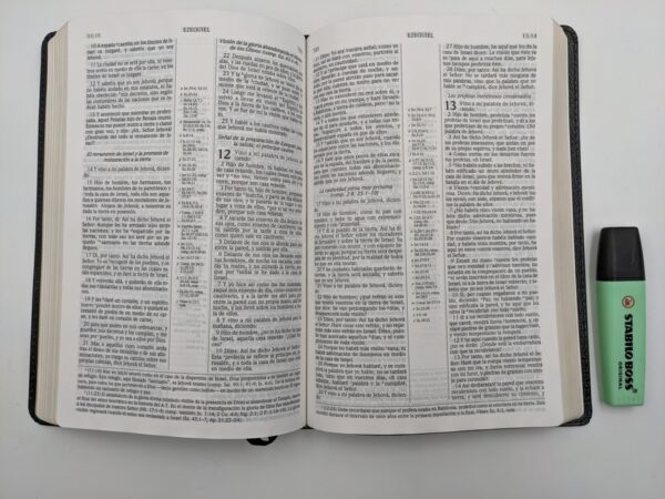 Biblia de estudio Scofield 2