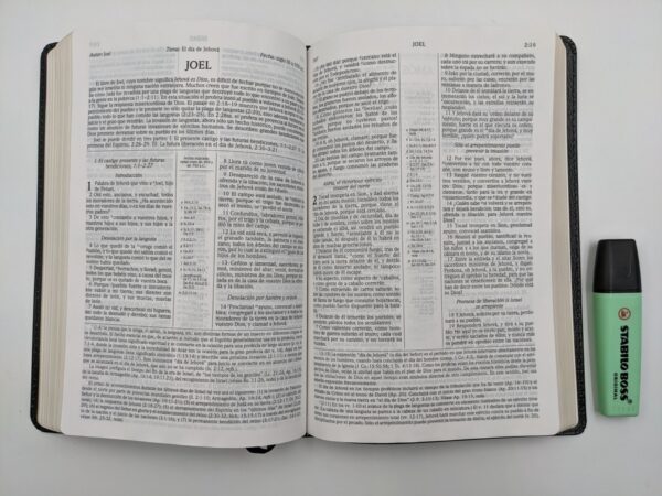 Biblia de estudio Scofield 3