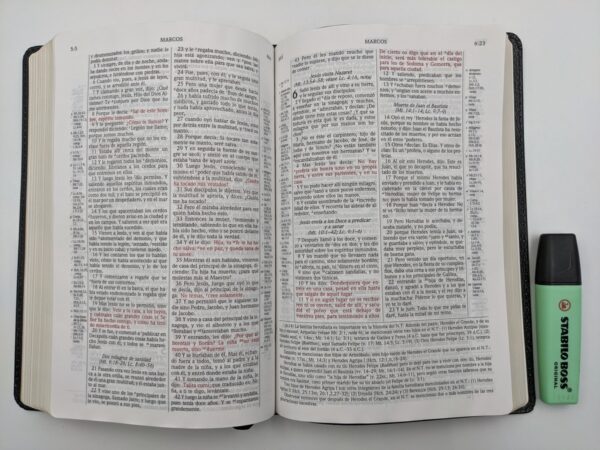 Biblia de estudio Scofield 6