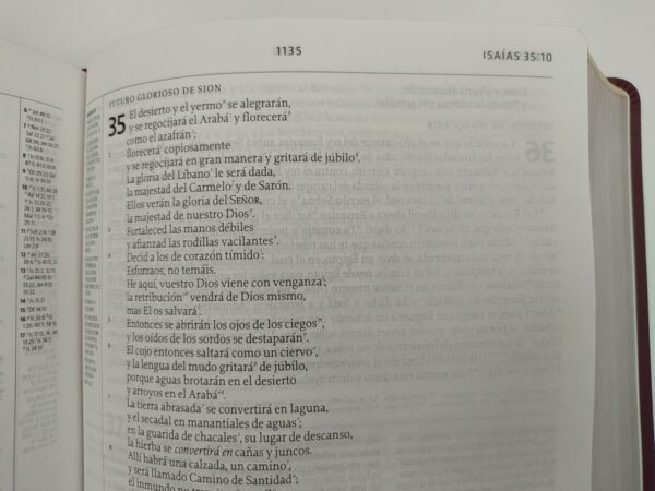 Biblia De Estudio De La Reforma Ciruela (LBLA) 5