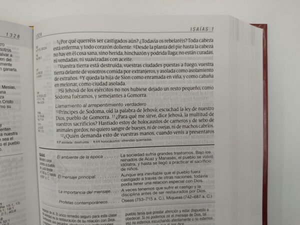Biblia De Estudio Diario Vivir RVR60 Letra Grande Tapa Dura 5