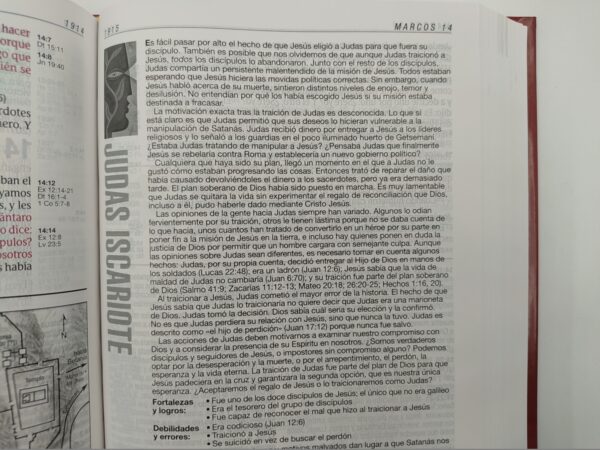 Biblia De Estudio Diario Vivir RVR60 Letra Grande Tapa Dura 8