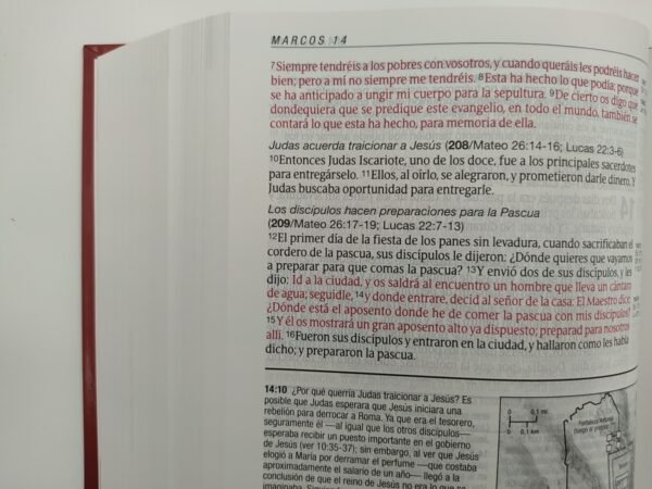 Biblia De Estudio Diario Vivir RVR60 Letra Grande Tapa Dura 3