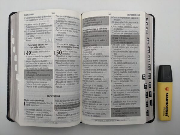 Biblia RVR60 De Promesas Tamaño Manual Negro Imitacion Piel 3