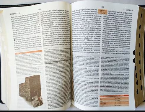 Biblia De Estudio Teologico RVR 1960 Negro Indice Piel 2