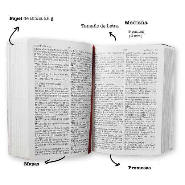 Biblia De Promesas Rvr60 Tamaño Manual Piel Especial Lavanda 3