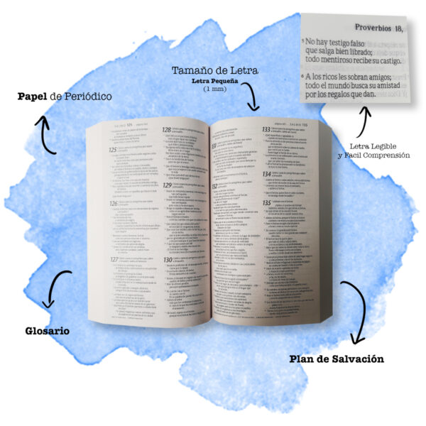 Santa Biblia NVI [Biblia] Misionera Círculos 5