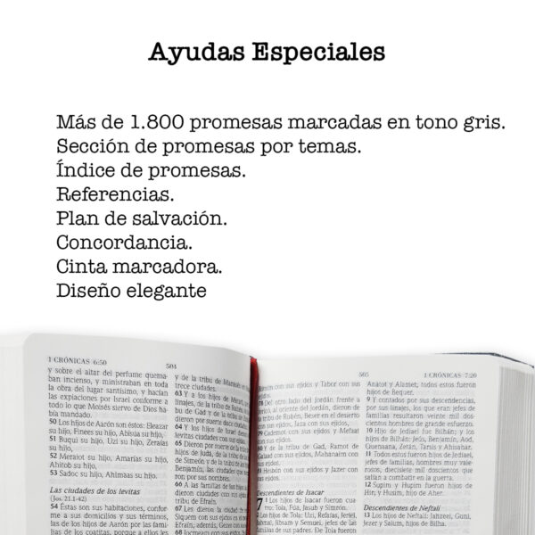 Biblia De Promesas Rvr60 Tamaño Manual Piel Especial Lavanda