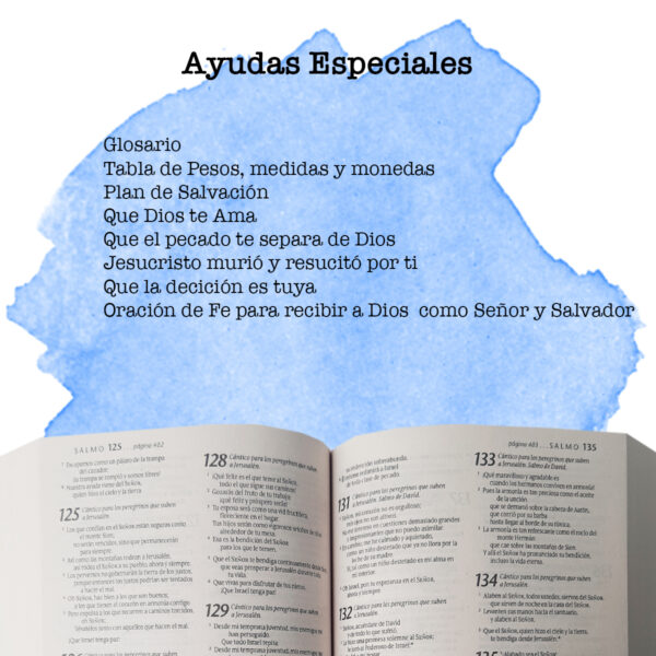 Santa Biblia NVI [Biblia] Misionera Círculos 14