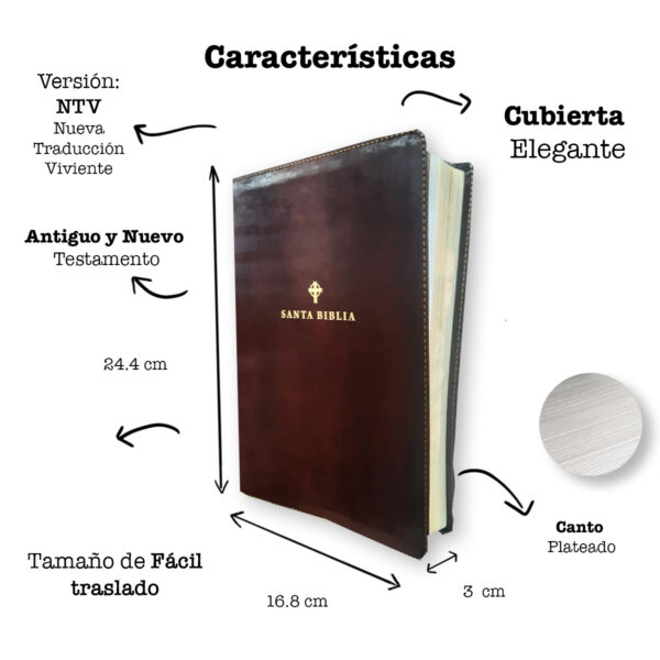 Biblia Ntv Edicion De Referencia Letra Grande Cafe Oscuro 4