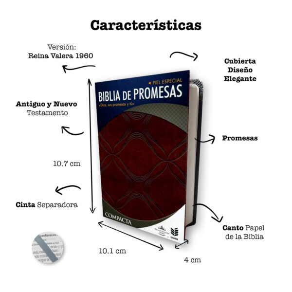 Biblia De Promesas Compacta Dios, Sus Promesas Y Tu RVR 1960 2
