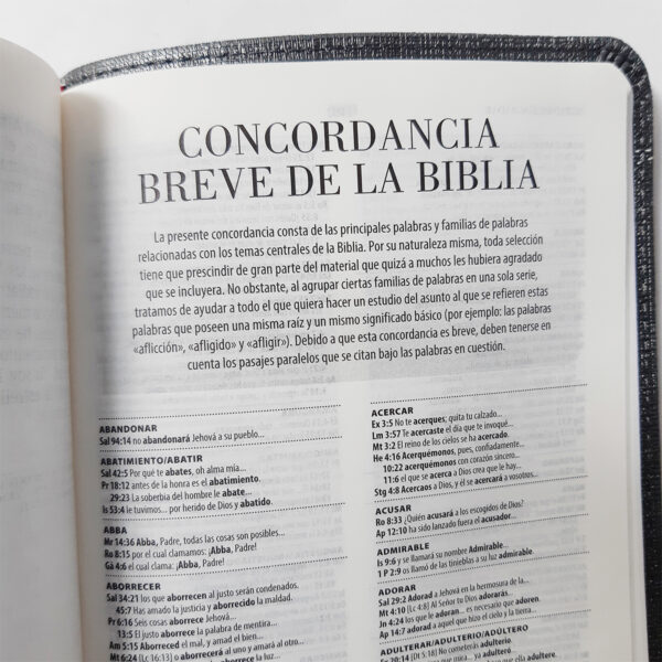 Biblia De Promesas Rvr60 Tamaño Manual Piel Especial Lavanda 7