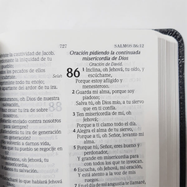 Biblia De Promesas Rvr60 Tamaño Manual Piel Especial Lavanda 4