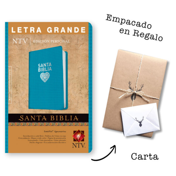 Biblia NTV/Edicion Personal/Letra Grande/Piel/ Aguamarina