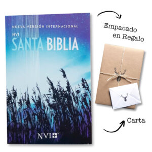 Santa Biblia NVI Misionera Azul