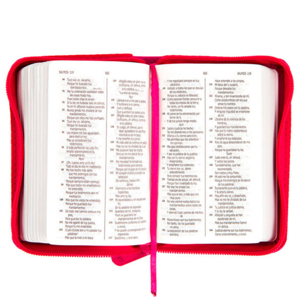 Biblia Mini Bolsillo RVR60 - Fucsia 2