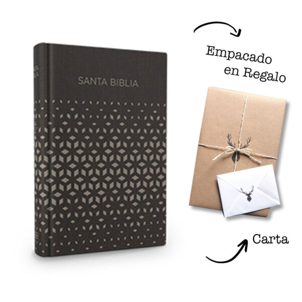 Biblia NVI Regalos Y Premios Negro-Plata Simil Piel