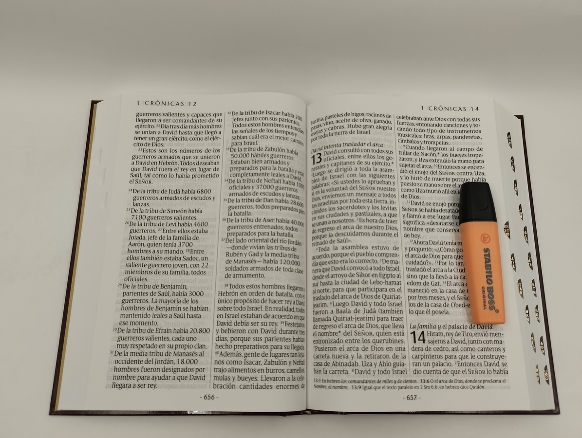 Biblia NTV Letra Super Gigante Tapa Dura Vinotinto Indice - Imagen 4