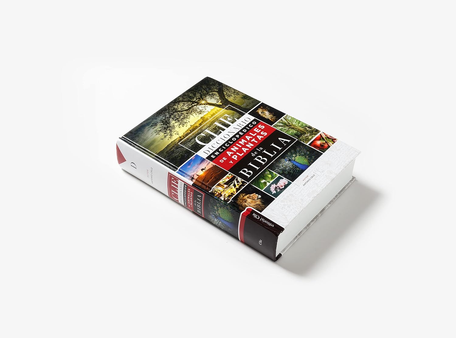 Diccionario Enciclopedico De Animales Y Plantas De La Biblia Clie - Imagen 2