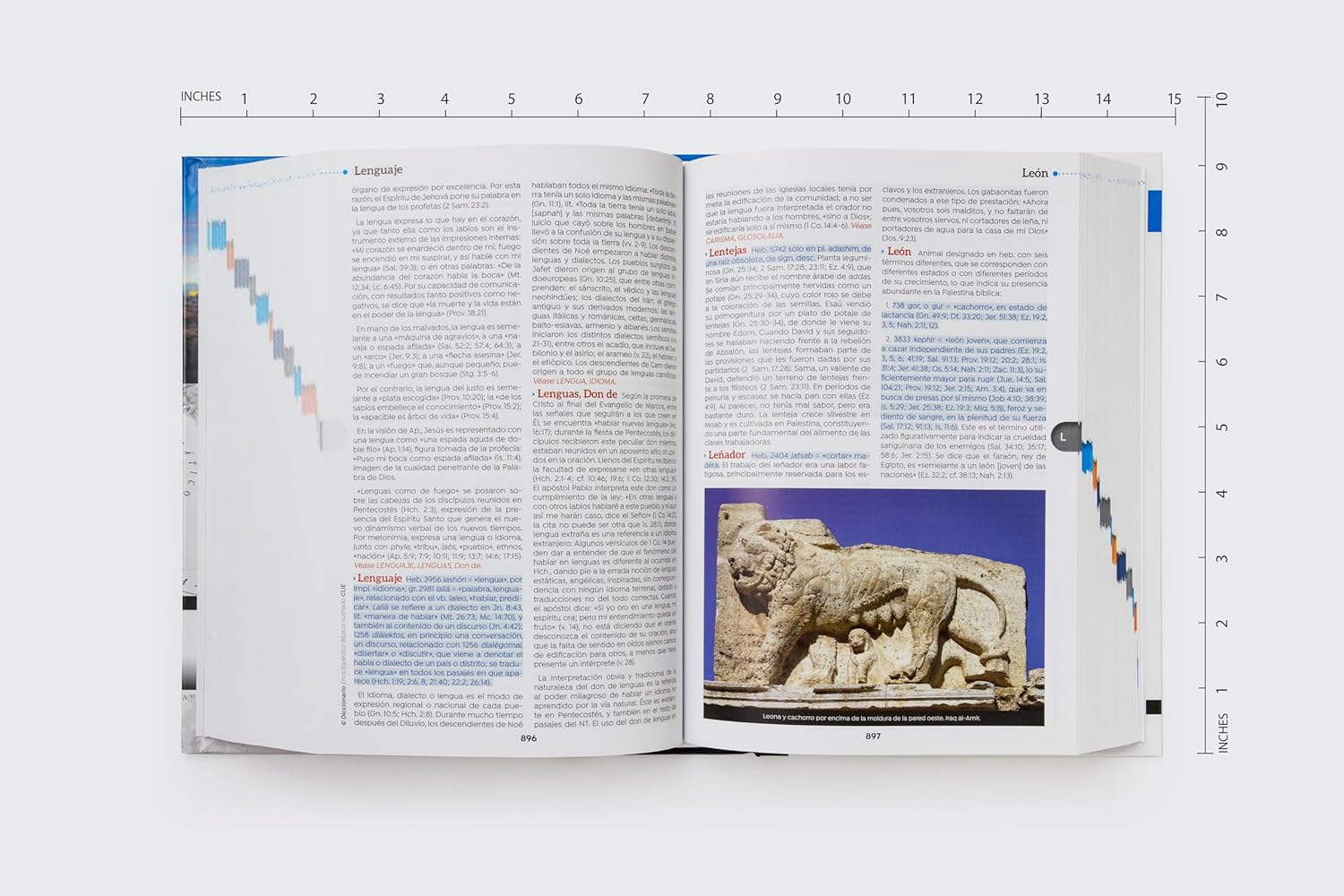 Diccionario Enciclopédico Bíblico Ilustrado CLIE - Imagen 4
