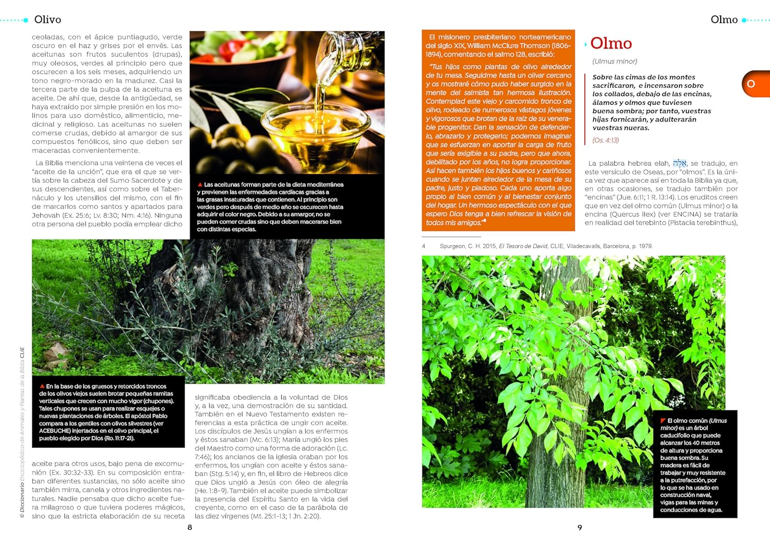 Diccionario Enciclopedico De Animales Y Plantas De La Biblia Clie - Imagen 5