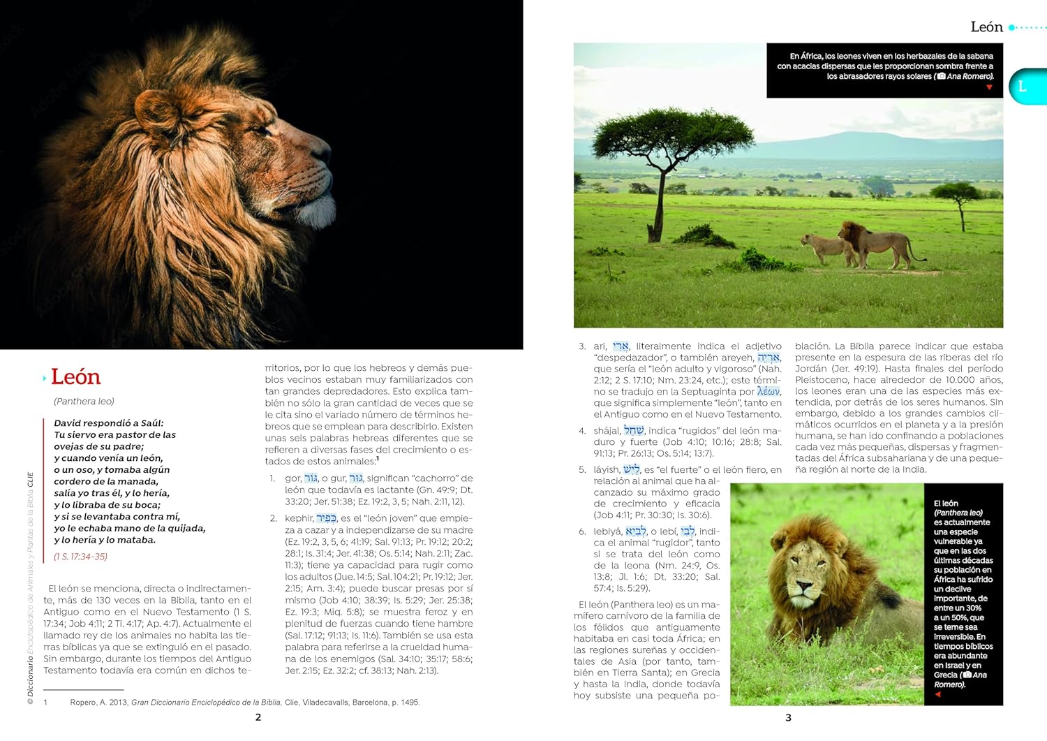 Diccionario Enciclopedico De Animales Y Plantas De La Biblia Clie - Imagen 4
