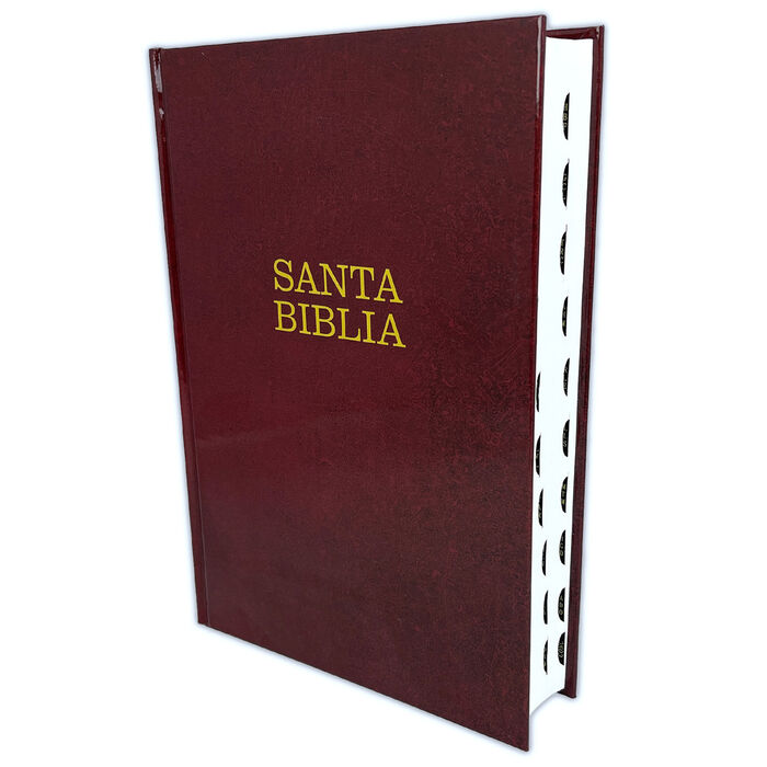 Biblia NTV Letra Super Gigante Tapa Dura Vinotinto Indice - Imagen 2