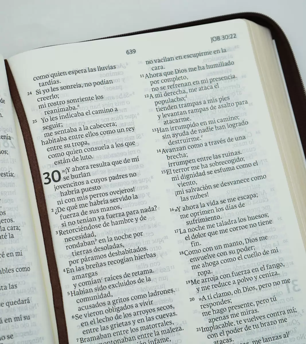 Biblia NVI Letra Gigante 13 Puntos Piel Marrón con Cierre - Imagen 5