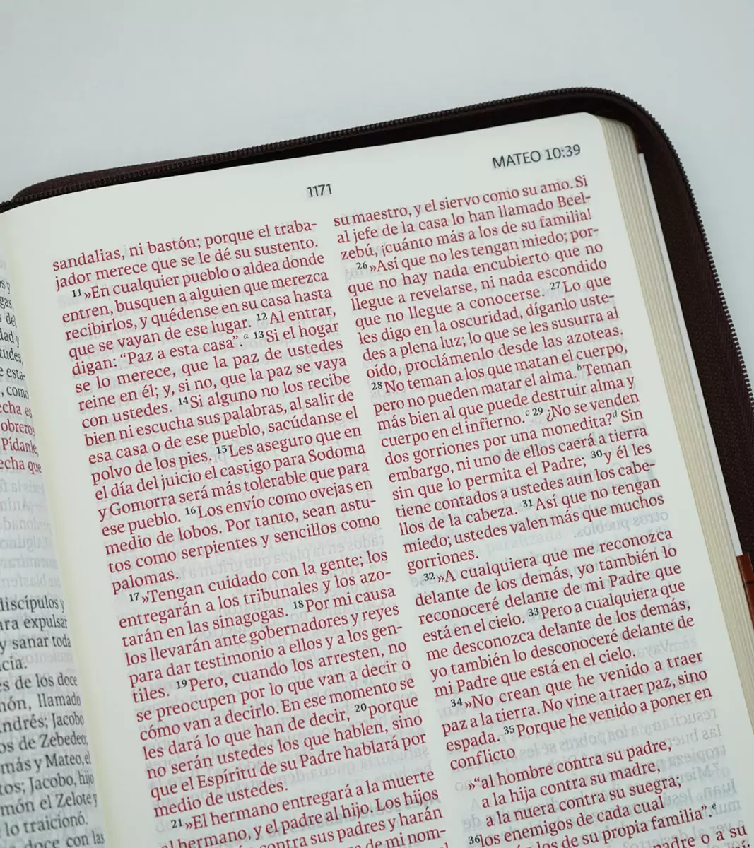 Biblia NVI Letra Gigante 13 Puntos Piel Marrón con Cierre - Imagen 6