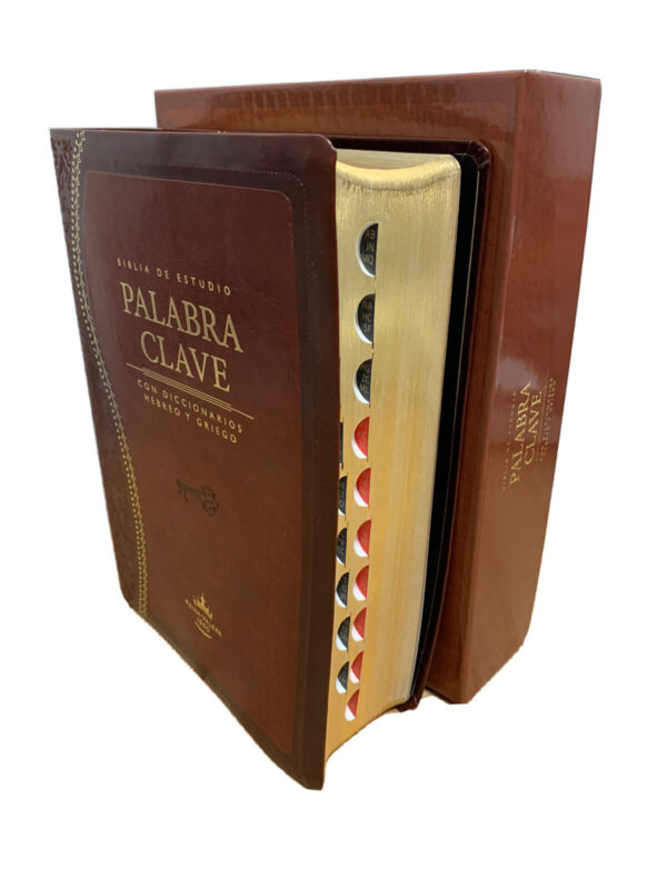 Biblia De Estudio Palabra Clave RV60 Imitacion Piel Marron Indice - Imagen 2