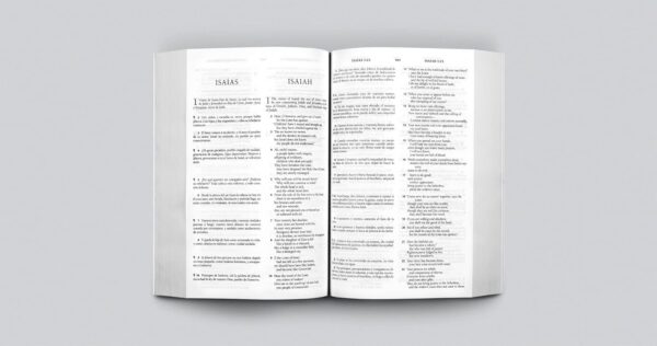 Santa Biblia RVR/Paralela Español/Inglés - Imagen 3