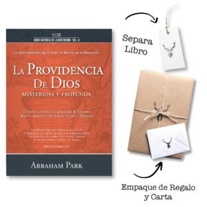 Providencia De Dios Misteriosa y Profunda - Volumen 4 - Abraham Park