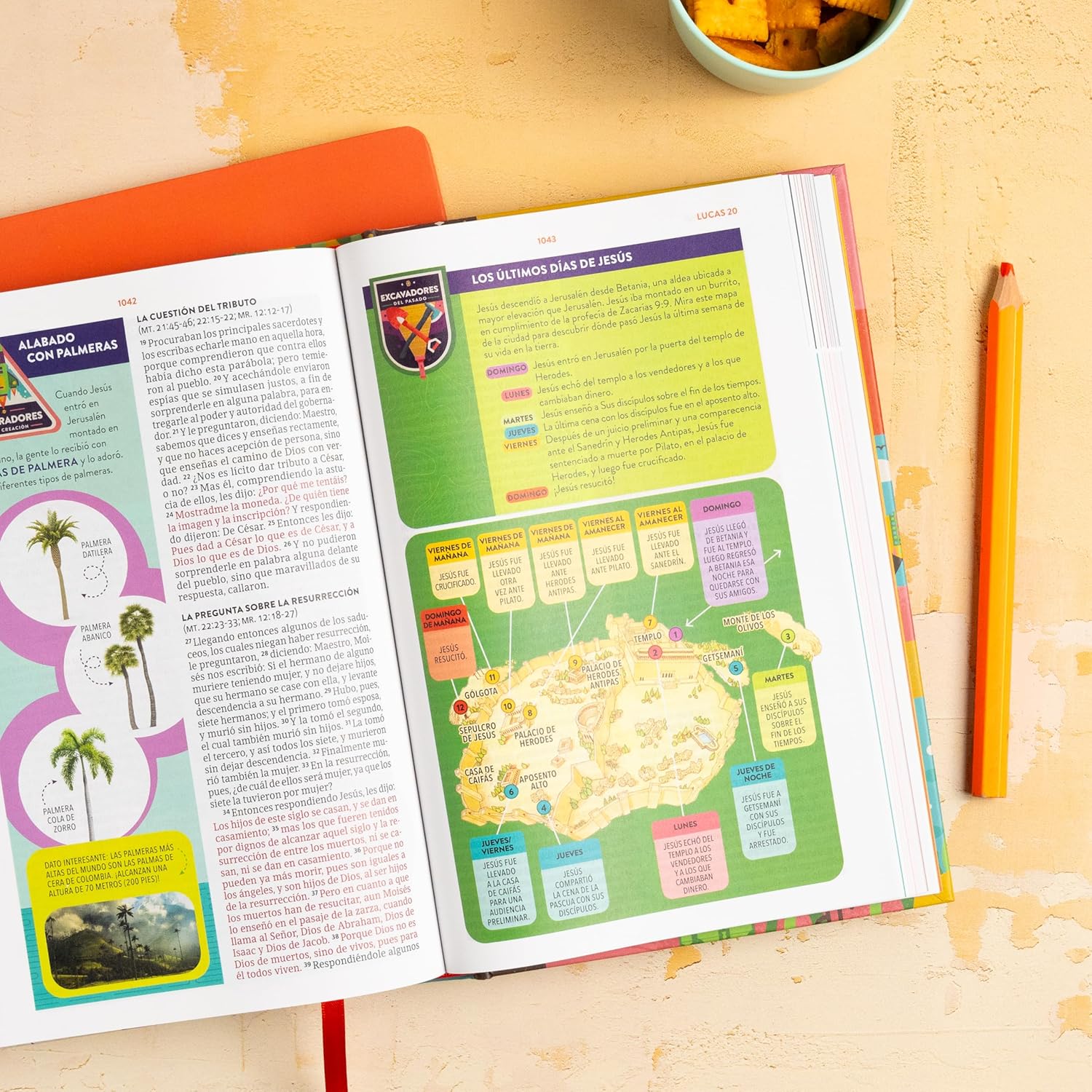 Biblia 1960 Para Niños Exploradores Multicolor Tapa Dura - Imagen 6