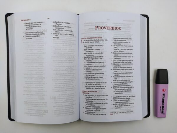 Biblia RVR60 Ultrafina Letra Grande Piel Interior A Dos Colores Negro - Imagen 3