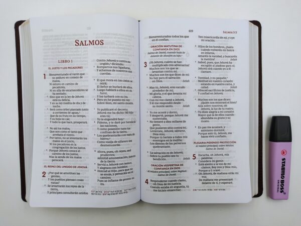 Biblia RVR60 Ultrafina Letra Grande Cuero Suave Interior Dos Colores Cafe - Imagen 3