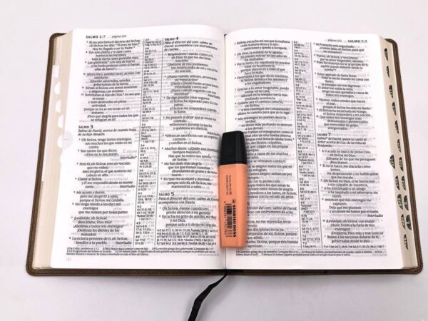 Biblia NTV Letra Grande Con Referencias Ultrafina Marron Claro Indice - Imagen 4