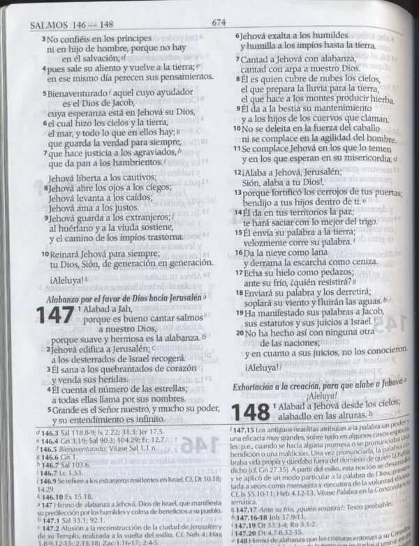 Biblia de Estudio Exégesis Reina Valera 1995 Grande Letra Mediana Imitación Piel Miel - Imagen 2