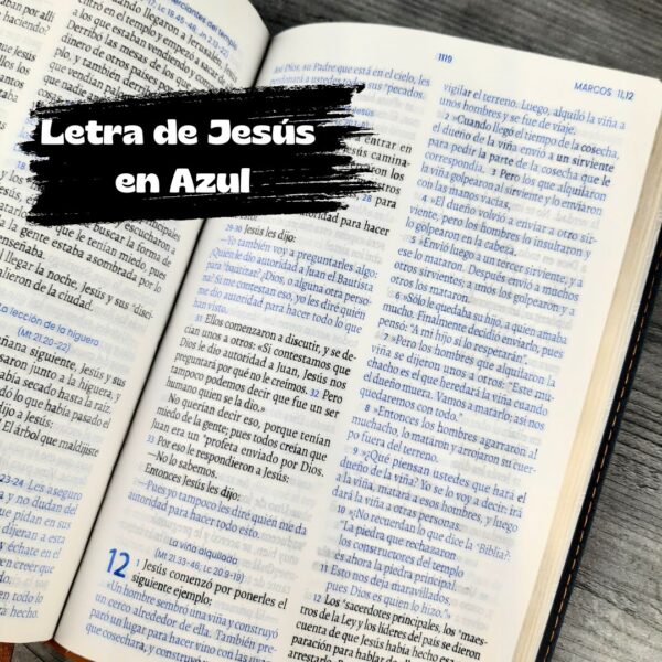 Biblia TLA Azul Café Letra Grande 11 puntos Canto Dorado - Imagen 9