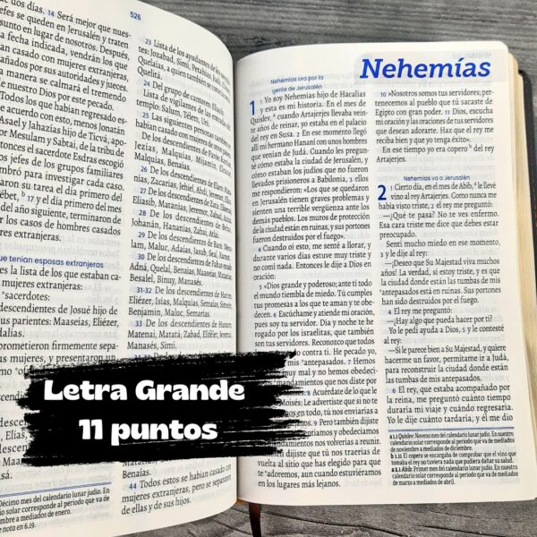 Biblia TLA Azul Café Letra Grande 11 puntos Canto Dorado - Imagen 8