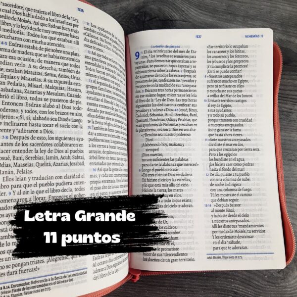 Biblia TLA Menta Rosa Letra Grande 11 puntos con Cremallera - Imagen 8