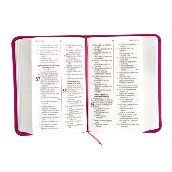 Biblia Mini Bolsillo Fucsia Canto Plateado - Imagen 2