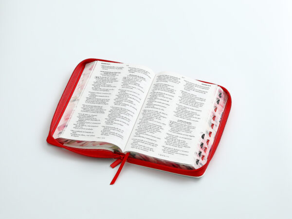 Biblia Letra Grande 12 Puntos Zíper Pretty Rojo Mariposa  Indice Cierre Manija - Imagen 5